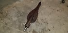 65146-44 1 Ton Blackhawk Hydraulic Spreader Jaws Psi Model