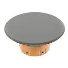 332711 Globe The Inch White Concealed Cover Plate