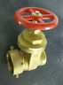 A53gy001 Giacomini Fire Protection Hose Gate Valve Male Female 8009902114541