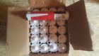 209623 Cp 606 Hilti Tubes Total