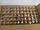 5mm155f-68c Gl56615501 Globe Brass Automatic Sprinkler