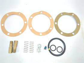 546-0020-50-0 Hale B Bl Bls Discharge And Suction Valve Repair Kit Incomplete