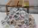 50074983225793 Mffp4iw 50703387l 60027 Sd9001 Pc-301 Rev.7 Panduit Pan-net Set Of 67 Mod-com Snap-in Furniture Faceplate