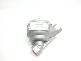 E4951 Protectoseal Vent-line/in-line Deflagration Flame Arrester 1in