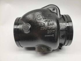 6107060010 Reliable Model G Swing Check Valve 1/2 Inch 50mm Grooved 6ck Drain Industrial Flow