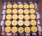 Vk412 Viking Flush Mount Horizontal Sprinkler Heads New Other
