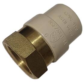 Xfitting 689836198015 10 Pieces In Female Npt X Cpvc Adapter Brass