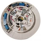 System Sensor B114LP. Fixed Price $105.10.
