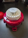 Det-tronics 012500-201 / U5015A1N13A Explosion Proof Smoke Detector. Fixed Price $5500.00.