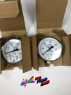 Lot Of 2 Chief Fire Sprinkler Pressure Gauge 300PSI 111.10SP 1/4" Npt. Fixed Price $39.99.