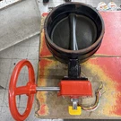 Lansdale 10 LVBG3 DN250 Butterfly Valve Supervisory Tamper Switch 16A 125/250V. Fixed Price $649.99.