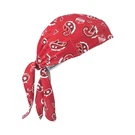 Chill-its By Ergodyne 6615 Dew Rag,red,universal 2EMJ9. Fixed Price $12.05.