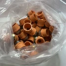 (45) Spears 4235-130GS X1/2 Cpvc Sprinkler Fittings. Fixed Price $59.99.