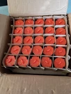 New Viking 23877AE VK3501 3/4" Qr Sprinkler Heads 200F. Fixed Price $359.95.