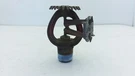 Cleveland Automatic 248G-SSU 38-600E Spray Sprinkler Upright 212 F 1/2" Threaded. Fixed Price $12.97.