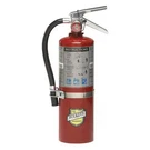Buckeye Fire Equipment 25614 Extinguisher, Lb Capacity, Class Abc Ul. Fixed Price $69.99.