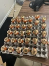 New Lot Of 31 Tyco Model TY7158 Standard Coverage Sprinkler Head 155. Fixed Price $359.89.