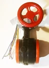Victaulic 6" Firelock Series Butterfly Valve V060705100 300 Psi / 168.3MM. Fixed Price $499.99.