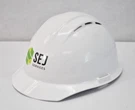 Erb Americana Vent Construction Hard Hat Helmet White Branded Type 1 Suspension. Fixed Price $17.99.
