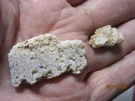Fire Opal Sandstone 1 3/8 Inch Mineral Louisiana Collectible OSMLC-2S-B. Fixed Price $16.70.