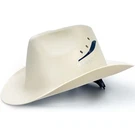 Safebuilder Cowboy Style Hard Hat Class Safety Helmet Vented Full Brim. Fixed Price $61.71.