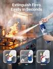 Plemo Fire Extinguisher For Home Car Kitchen Truck 620ML F62N 21OZ 4PKS. Fixed Price $31.99.