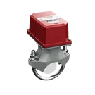 Potter 1029030. Fixed Price $73.72.