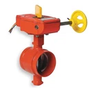 Gruvlok 7005015008 Butterfly VALVE,GROOVED,2 In,iron 3DVX6. Fixed Price $1972.93.