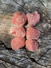 Waterproof Survival Fire Starters - 15 Minute Burn Time Pack 6. Fixed Price $7.50.