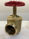 2-1/2 In. Giacomini Fire Angle Hose Valve. Female X A56E. Fixed Price $79.50.