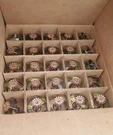 Globe Brass Concealed Decorative Fire Sprinkler J-1993 155 Degrees (lot Of 100). Fixed Price $595.00.