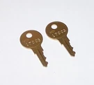 2 - 17003 Replacement Keys Fit Fire Lite Notifier Alarm Panel Pull Station. Fixed Price $9.99.