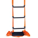 Fkngs Fire Escape Ladder 9.8 New Open Box. Fixed Price $29.99.