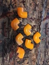 4206-010 Spears 90 1" Fitting Lot Of 7. Fixed Price $35.00.