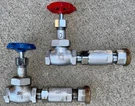 2-APOLLO-CONBRACO 3/4" S/s Inline Check Valve Assem. W/globe W/riser. Fixed Price $350.00.