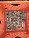 Rasco Ssu D1 701A 286 Degree Sprinkler Head Lot Of 36. Fixed Price $250.00.