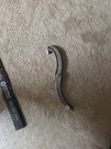 Elkhart Folding Spanner Wrench. Fixed Price $25.00.