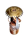 Ascoa 246G Ssu 38-807, Fire Sprinkler Head, 1/2" Npt, 212 F/100. Fixed Price $9.99.