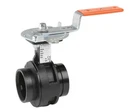 2-1/2 Victaulic Butterfly Valve, 300MS, V020761SE2 Series VIC-300 Masterseal. Fixed Price $300.00.