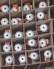 Tyco Sidewall Sprinkler TY323 3/4 K5.6 Lot Of 20PCS. Fixed Price $252.29.