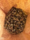 Lot Of Viking Fire Sprinkler Heads. Fixed Price $160.00.