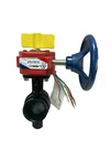 GD-4765-8N 1/2" Nibco Butterfly Valve 300PSI Wwp. Fixed Price $350.00.