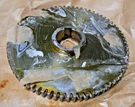 Kidde Fire Fighting Spur Gear 00026520 200265 3213-9019-0. Fixed Price $250.00.