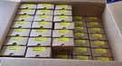 Potter PAD300-PD Photoelectric Smoke Detector Brand New 90 Available. Fixed Price $59.99.