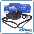 Power Steering Pump Serpentine Belt Tensioner For Chevy Silverado Gmc Sierra 6.0. Fixed Price $883.19.