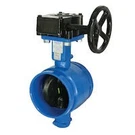 Gruvlok 7005011912 1/2" Epoxy Butterfly Gear Npt. Fixed Price $2056.75.