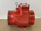 Tyco Swing Check Valve 8 CV-1F 300 Psi, Dn 200. Fixed Price $758.90.