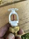Globe Optima Fire Sprinkler. Fixed Price $15.00.