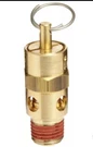 Brass Asme Safety Valve 200 Psi Set Pressure 1/4" Male Npt. Fixed Price $11.35.
