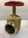 Giacomini A56EY005 Angle Hose Valve, Main Drain, A56, 1/2. Fixed Price $85.00.